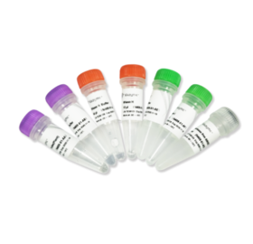 Ribo-off rRNA Depletion kit (Plant)