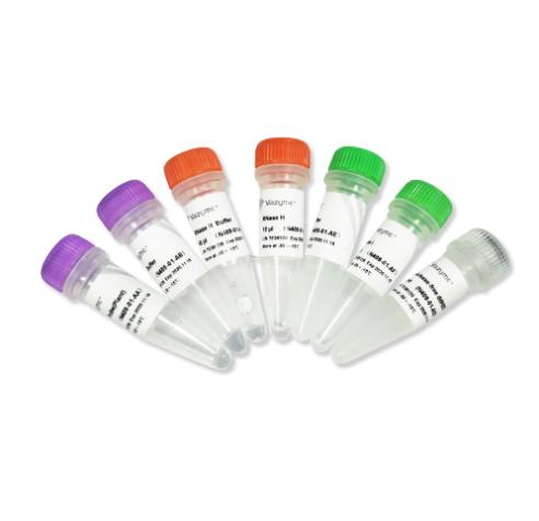 Ribo-off rRNA Depletion kit (Plant) 商品图0