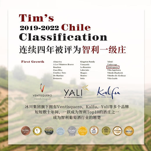 【连续3年智利一级庄】火烈鸟赤霞珠干红葡萄酒 智利中央山谷产区 商品图6