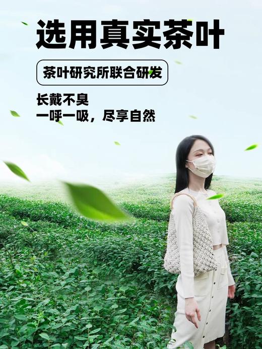 茶息口罩 商品图2