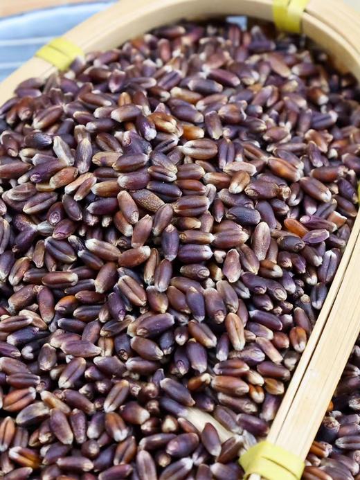 黑小麦仁500g 商品图1