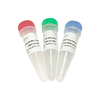 AceTaq  DNA Polymerase 商品缩略图0