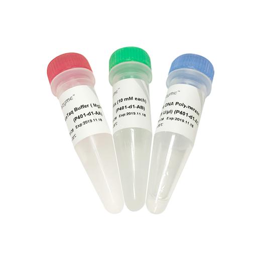 AceTaq  DNA Polymerase 商品图0