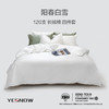120支轻奢床单四件套 商品缩略图4