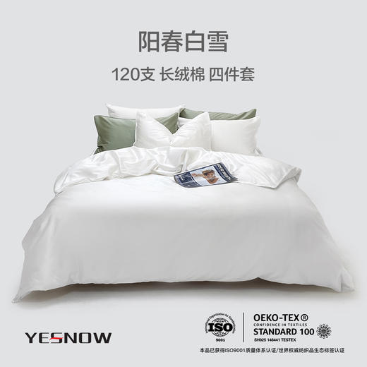 120支轻奢床单四件套 商品图4