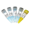 ChamQ SYBR Color qPCR Master Mix (High ROX Premixed) 商品缩略图0