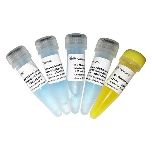 ChamQ SYBR Color qPCR Master Mix (High ROX Premixed) 商品图0