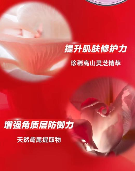 【资生堂红腰子】日本资生堂红妍肌活精华露100ml傲娇精华修复 商品图2