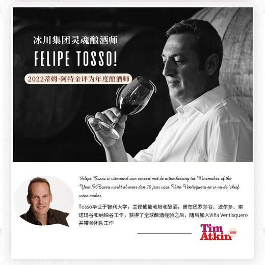 【连续3年智利一级庄】火烈鸟赤霞珠干红葡萄酒 智利中央山谷产区 商品图4