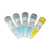 ChamQ SYBR Color qPCR Master Mix (Without ROX) 商品缩略图0