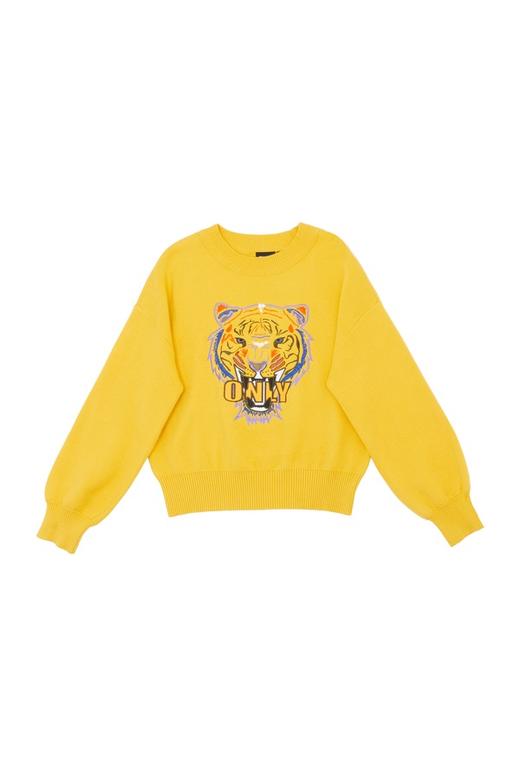 ONLY 黄色刺绣套头针织衫 5857 商品图4
