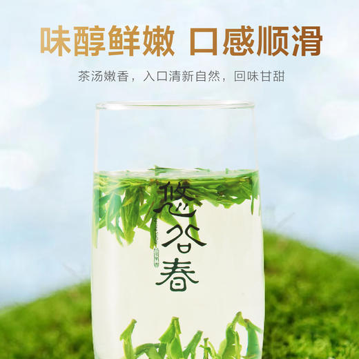 2026新茶 • 早春龙井100克，鲜香嫩 商品图8