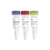 Bst II DNA Polymerase Large Fragment 商品缩略图0