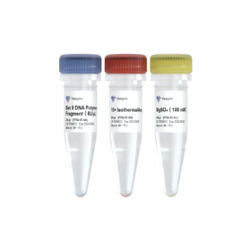 Bst II DNA Polymerase Large Fragment