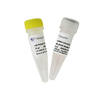 miRNA Universal SYBR qPCR Master Mix 商品缩略图0