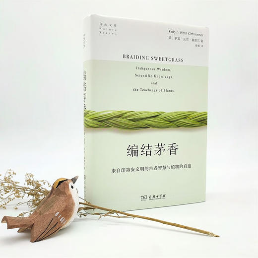 编结茅香：来自印第安文明的古老智慧与植物的启迪（自然文库） [美]罗宾•沃尔•基默尔 著 侯畅 译 商务印书馆 商品图8