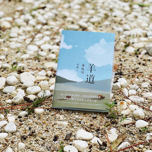 羊道三部曲 春牧场/前山夏牧场/深山夏牧场 李娟经典散文集 商品图4