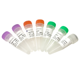 Ribo-off rRNA Depletion Kit (Bacteria)