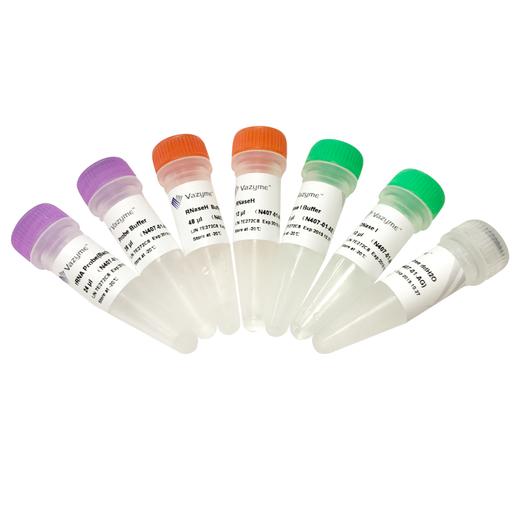 Ribo-off rRNA Depletion Kit (Bacteria) 商品图0