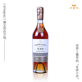 天使封印XXO雅文邑白兰地