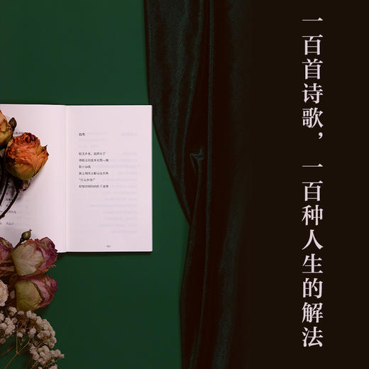 包珍妮《二十岁》 商品图2