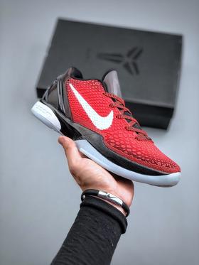 科6