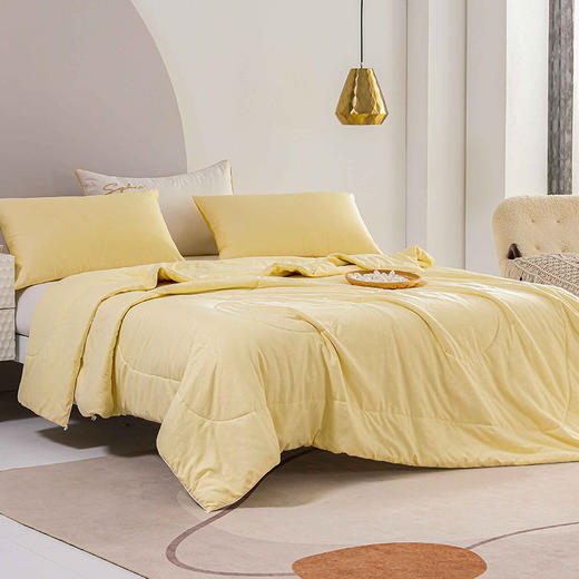 2023新款 钱皇 花时桑蚕丝被 春夏被 子母被 一张被子盖四季！吸湿透气贴身不压身 商品图0