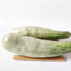 头茬山东羊角蜜甜瓜 自然清爽 现摘现发 商品缩略图2