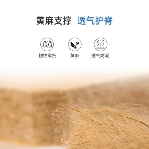 【家具】床垫 NｰSLEEP CH-2 多种规格可选 商品图3