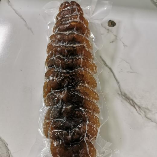 400g左右条螺纹参海参【2E5下-14】 商品图1