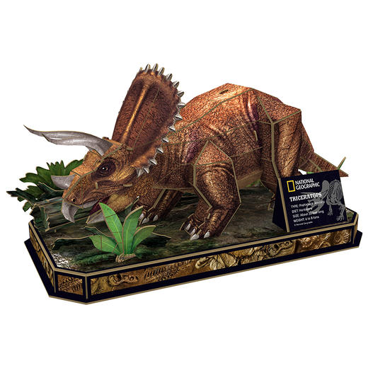 乐立方DS1052三角龙 商品图5