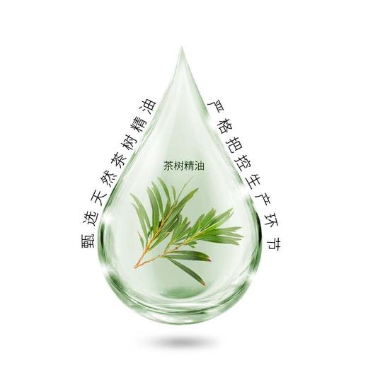 中粮德兰茶树精油洗手液500ml 商品图2