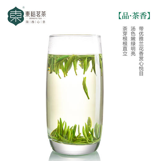 【2025春茶】东裕茗茶 秦岭高山精品仙毫50克磨砂罐装 商品图3