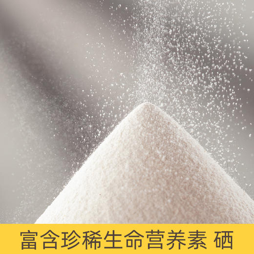 丨生态丨山药大师富硒山药粉 商品图3