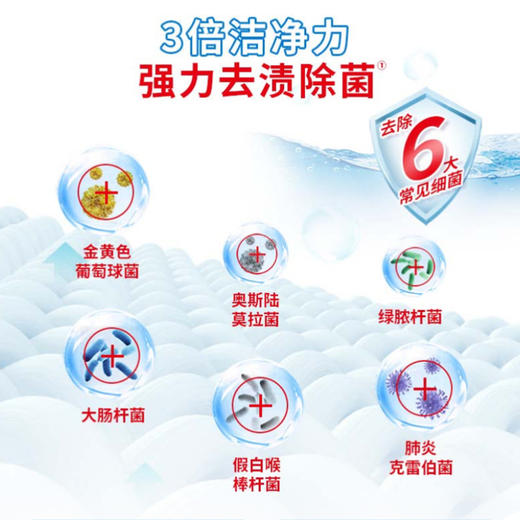 立白大师香氛洗衣液1kg 京东旗下惠寻全效洗衣液2KG 商品图7