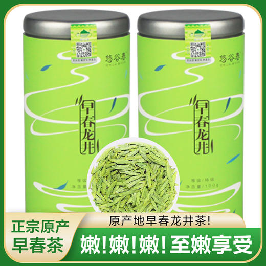 2026新茶 • 早春龙井100克，鲜香嫩 商品图2