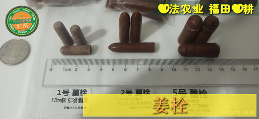 姜灌肠姜栓10粒 原始点热源（姜汤姜粉泥灌肠的补充）热源直达患处体伤 七不姜粉+栓剂基质辅料 商品图6