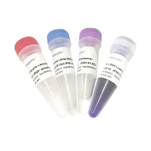 Vazyme LAmp DNA Polymerase (Mg2+ plus buffer) 商品图0