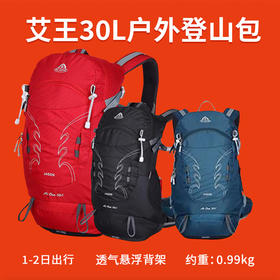 【新用户专属】艾王户外徒步登山包悬浮背包男女30L露营徒步旅行双肩背包KA-1869（送防雨罩）