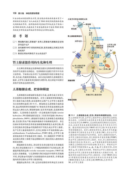 药理学原理 药物治疗学的病理生理基础 杜冠华 译 基于机制和方法学系统当代药理学药物开发综合方法 人民卫生出版社9787117330589 商品图3