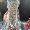800g左右条梅花参海参【14】 商品缩略图0