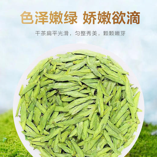 2026新茶 • 早春龙井100克，鲜香嫩 商品图3