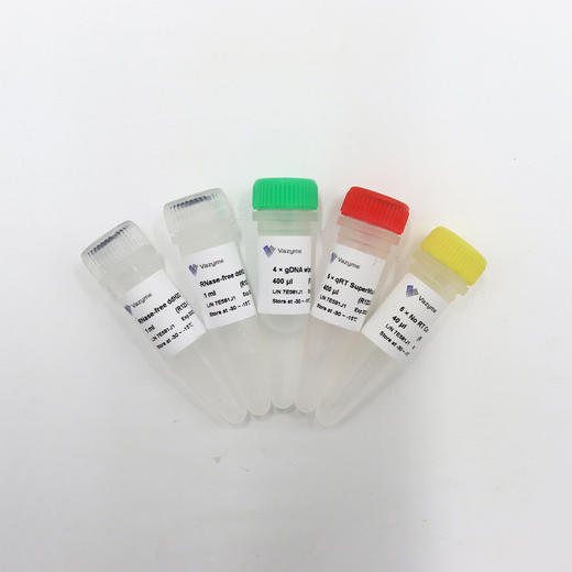 HiScript Q RT SuperMix for qPCR (+gDNA wiper) 商品图0