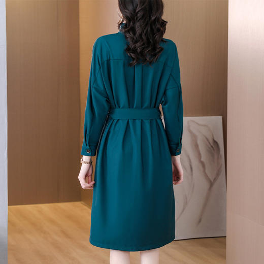 休闲简约通勤风宽松A字裙连衣裙AHM-tywf8002 商品图3