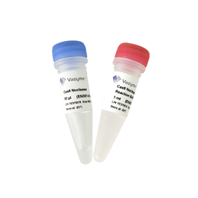 Cas9 Nuclease