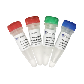 Champagne Taq DNA Polymerase