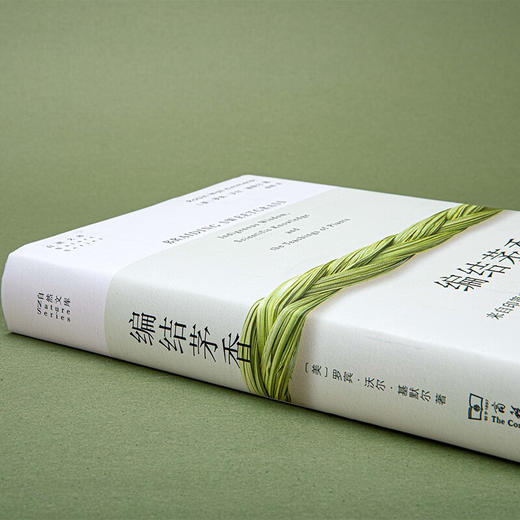 编结茅香：来自印第安文明的古老智慧与植物的启迪（自然文库） [美]罗宾•沃尔•基默尔 著 侯畅 译 商务印书馆 商品图6