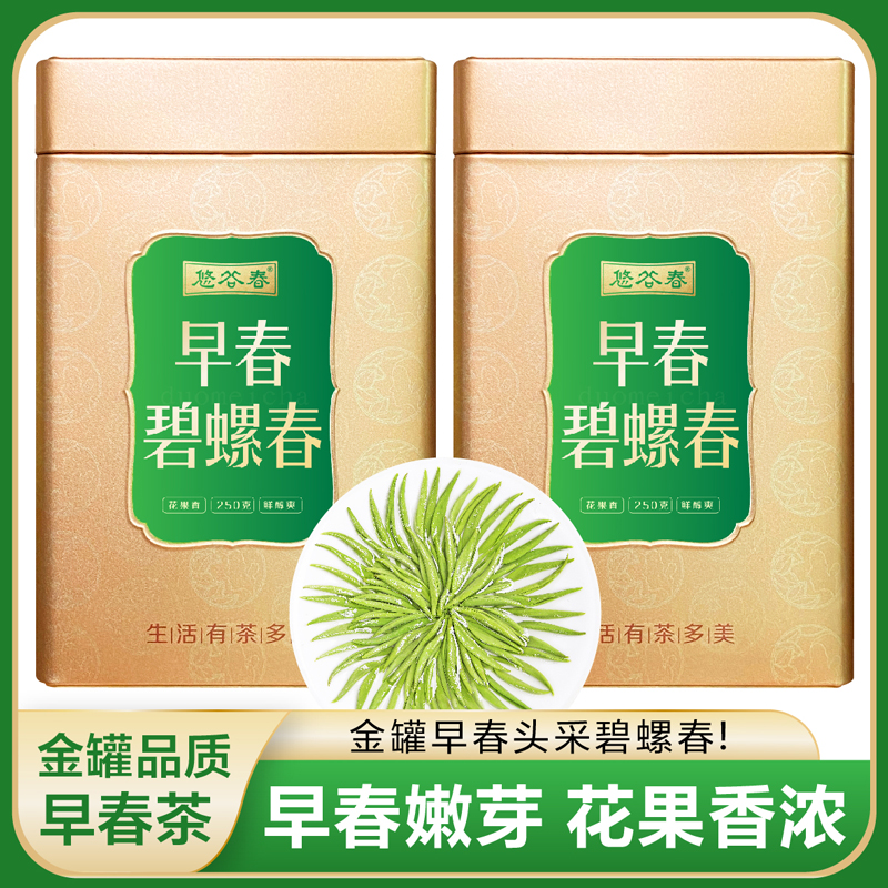 2026新茶• 早春碧螺春 花果清香250克