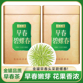2026新茶• 早春碧螺春 花果清香250克