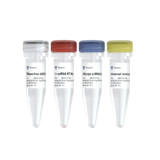 miRNA 1st Strand cDNA Synthesis Kit (by tailing A) 商品图0